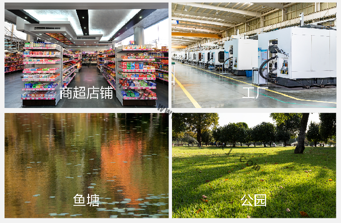 網絡球機應用場景