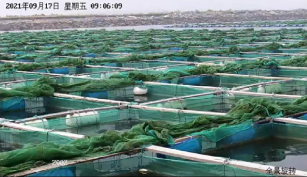 水產養殖高清視頻監控應用