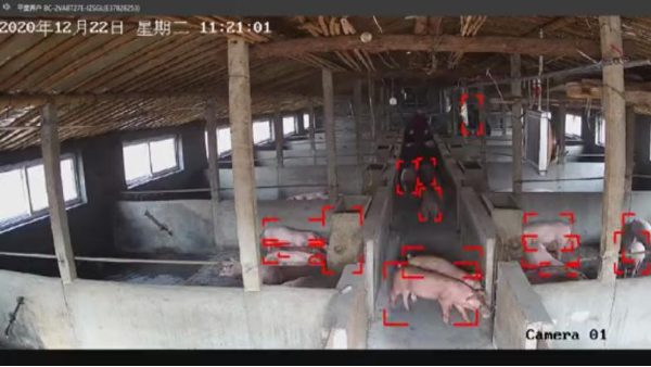 養殖場AI開放平台應用