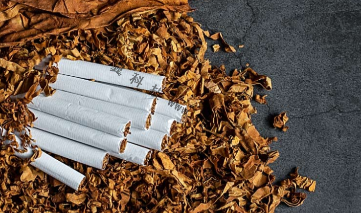 煙草行業(ye) 應用AI智能視頻監控