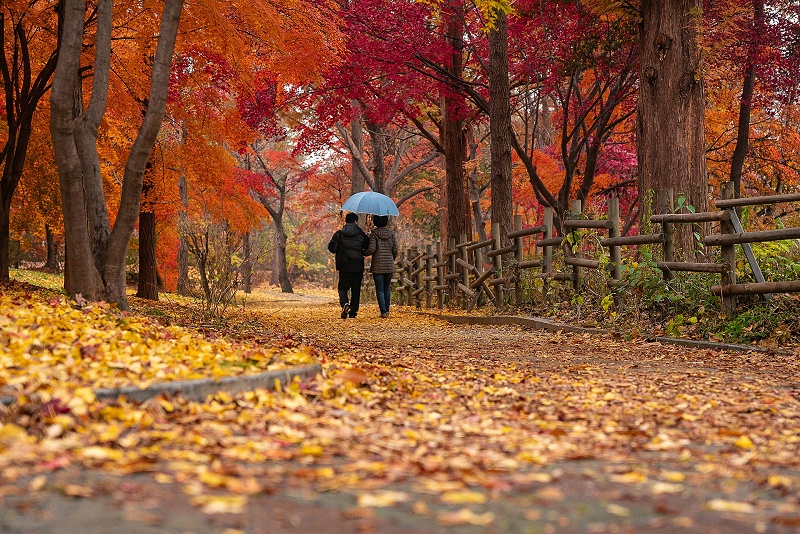 公園視頻監控係統
