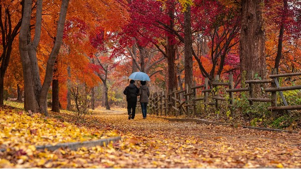公園視頻監控係統