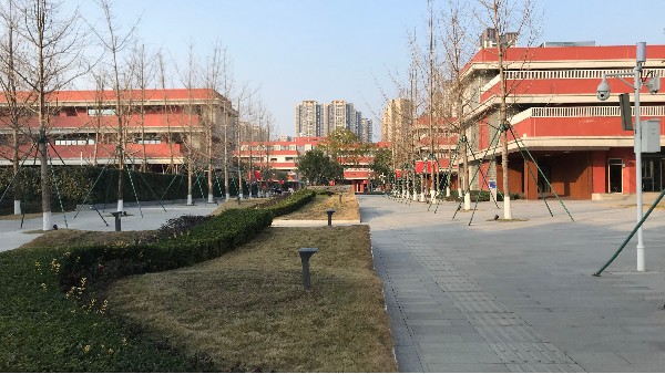 學校高清視頻監控