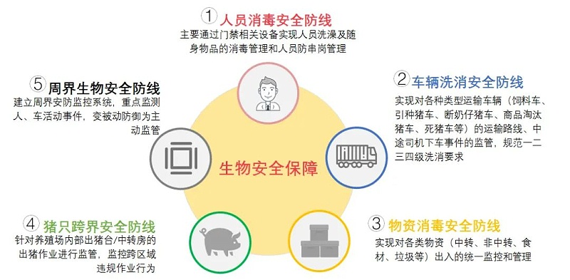 豬瘟防控解決(jue) 方案