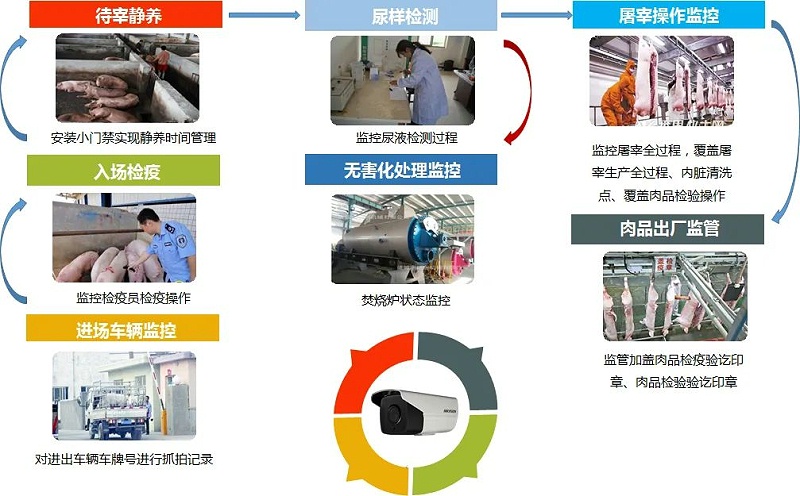 豬瘟防控解決(jue) 方案