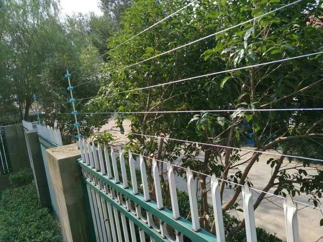 脈衝(chong) 電子圍欄應用