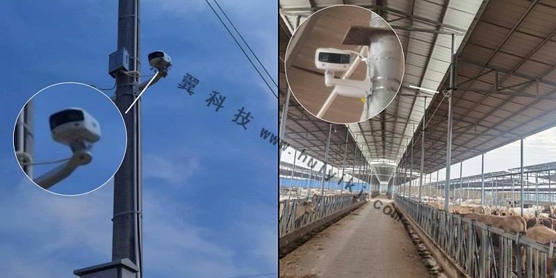 養(yang) 殖場攝像機應用效果