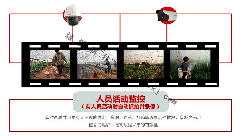 智慧農(nong) 業(ye) 多維感知檢測效果